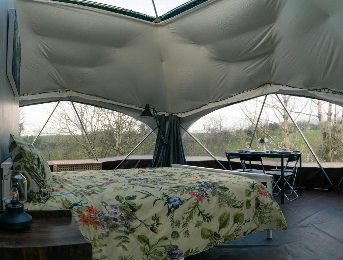 Little River Glamping バリマネー エクステリア 写真