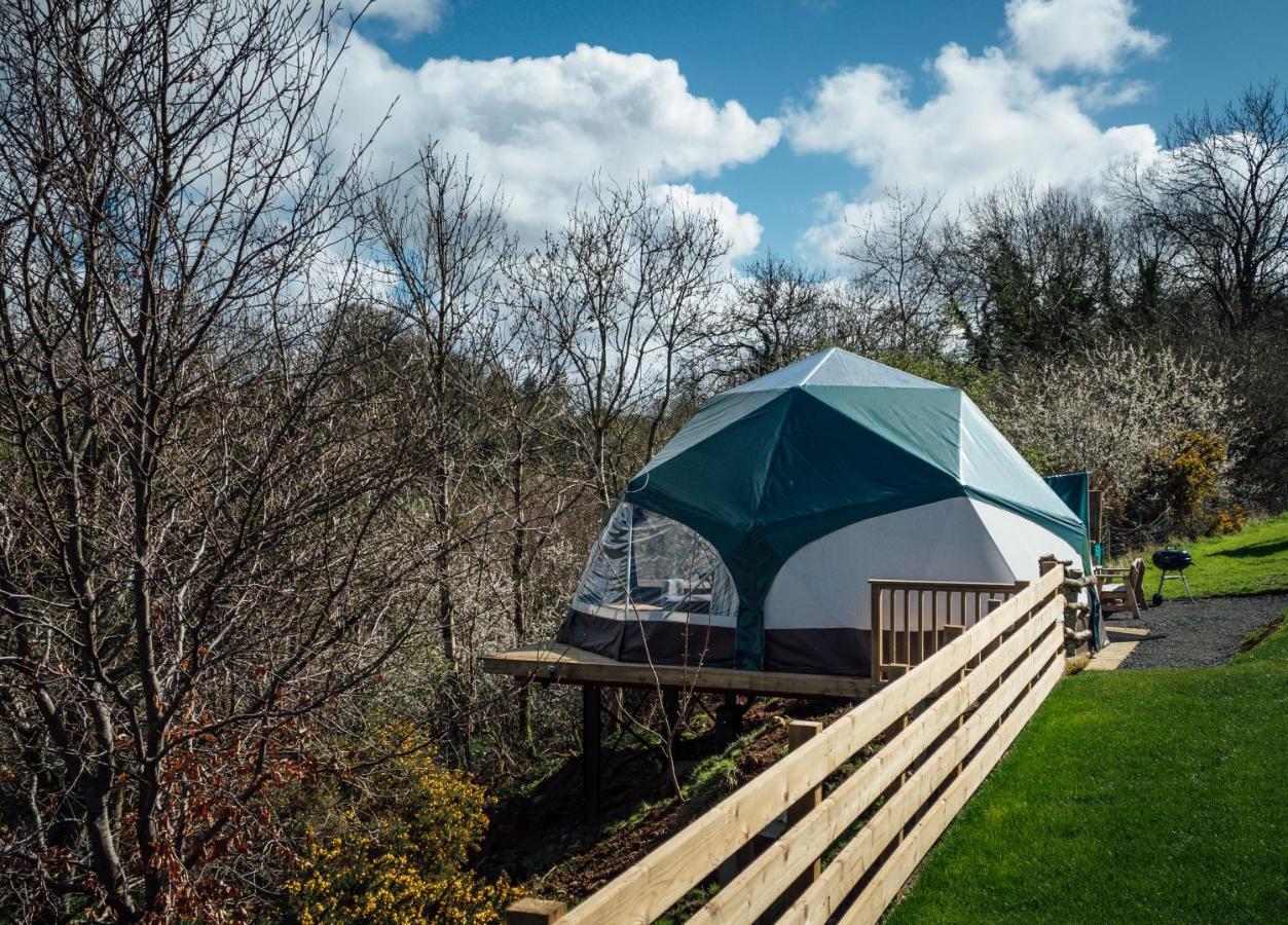 Little River Glamping バリマネー エクステリア 写真