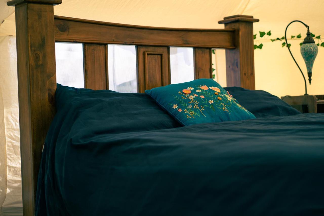 Little River Glamping バリマネー エクステリア 写真